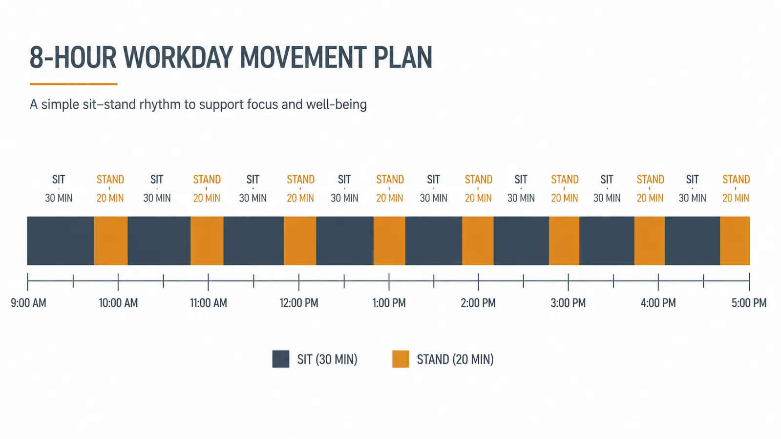 Sit-stand schedule chart showing alternating 30-minute sitting and 20-minute standing blocks across a workday